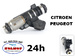 Wtrysk wtryskiwacz paliwa CITROEN C2 C3 PEUGEOT 206 1.1 Oryginał PSA CITROEN / PEUGEOT 1984C9